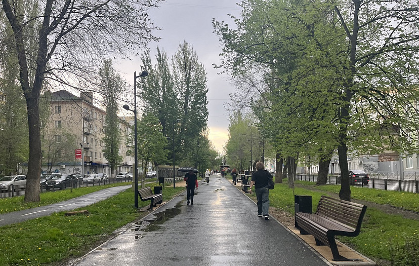 В Саратове закрыли парки из-за сильного ветра и дождя